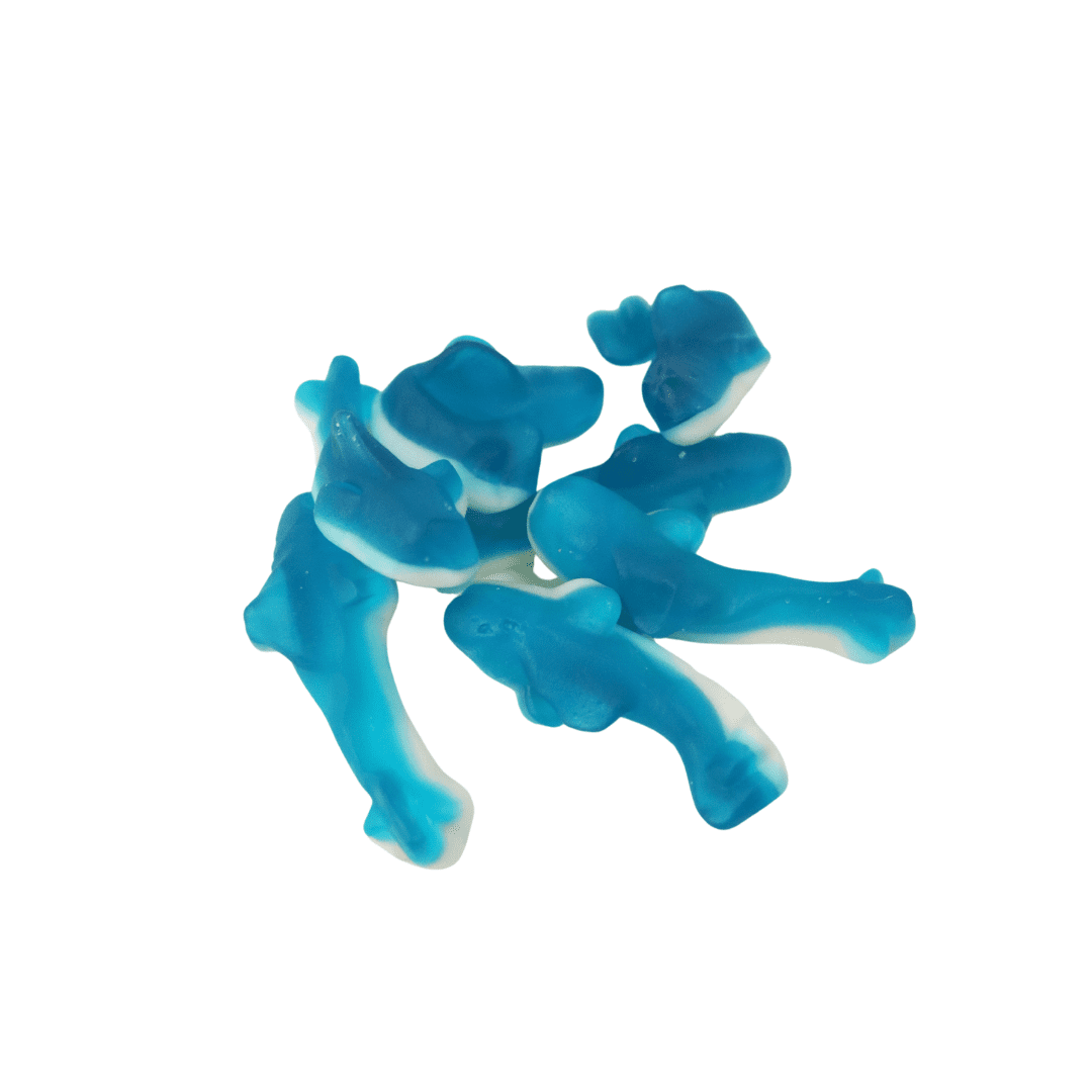 Candy Plus Park Lane Sharks ( Czech Republic )