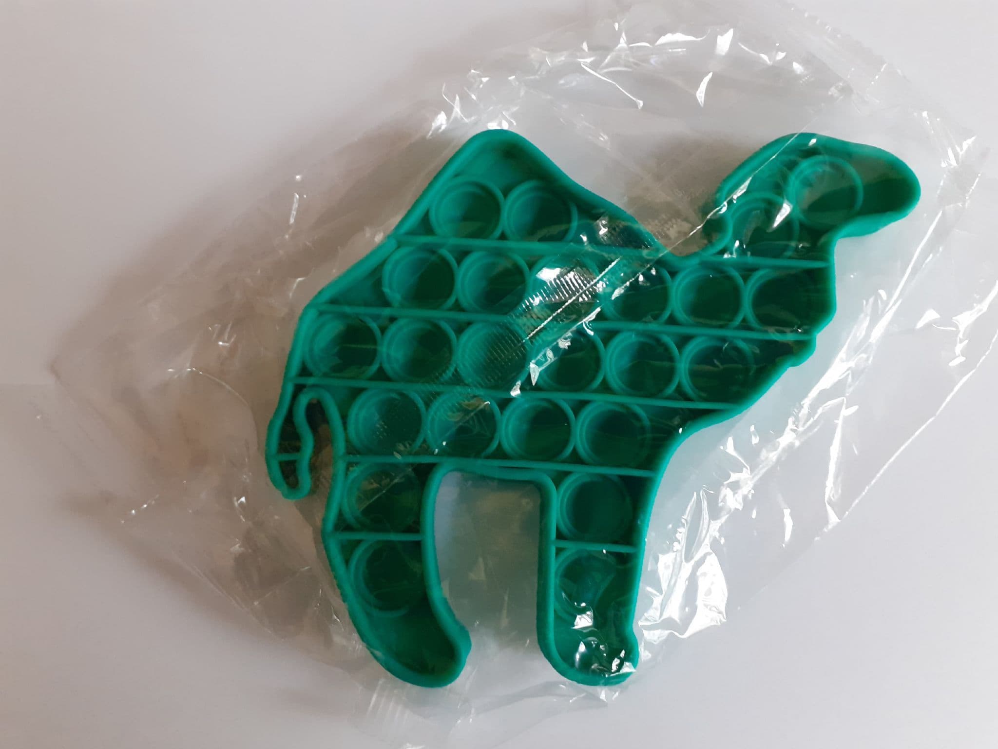 Fidget Push Pop It Camel