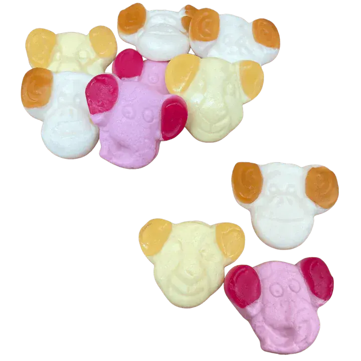 Katja Zoo Mix  ( Netherlands )