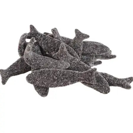 Matthijs  Sugared Fish ( Netherlands )