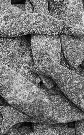 Matthijs  Sugared Fish ( Netherlands )