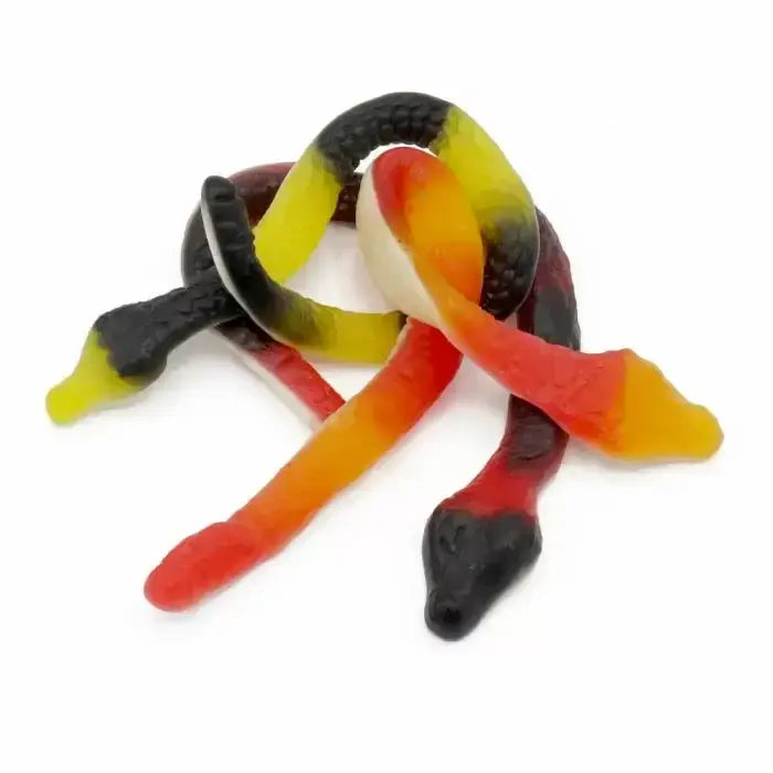 Ravazzi Giant Snake  ( Italy )