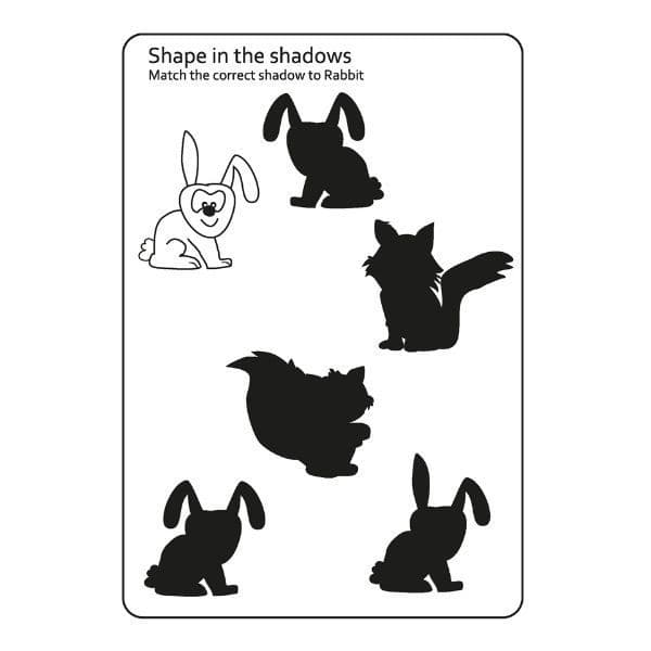 SquiggleMy Woodland Friends All-In-One Activity Book