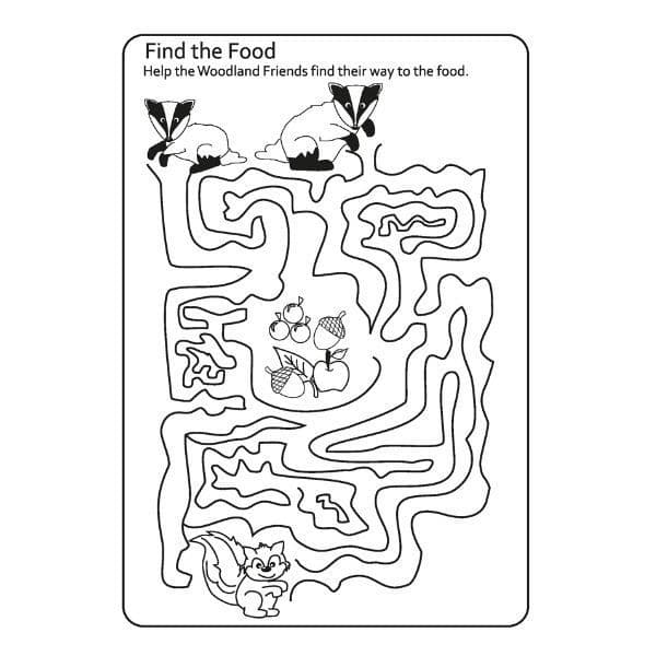 SquiggleMy Woodland Friends All-In-One Activity Book