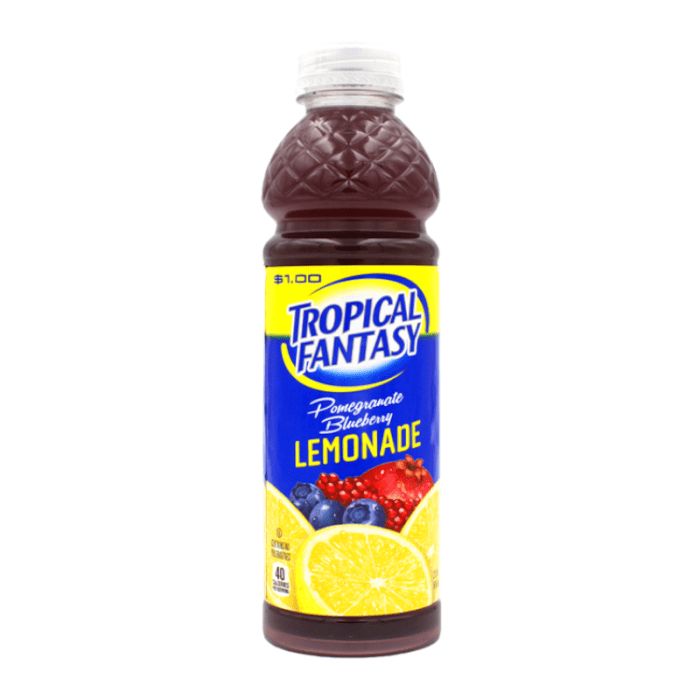 Tropical Fantasy - Premium Juice Cocktail - Pomegranate Blueberry Lemonade 22.5fl.oz (665ml)  ( US )