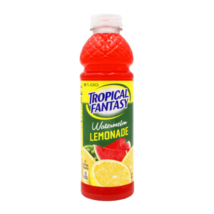 Tropical Fantasy - Premium Juice Cocktail - Watermelon Lemonade 22.5fl.oz (665ml) ( US )