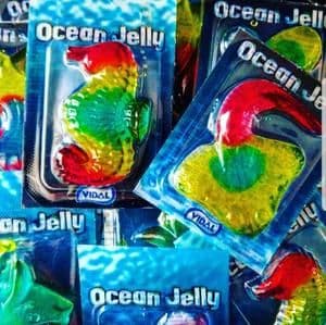 Vidal Ocean Jelly Creatures ( Spain )
