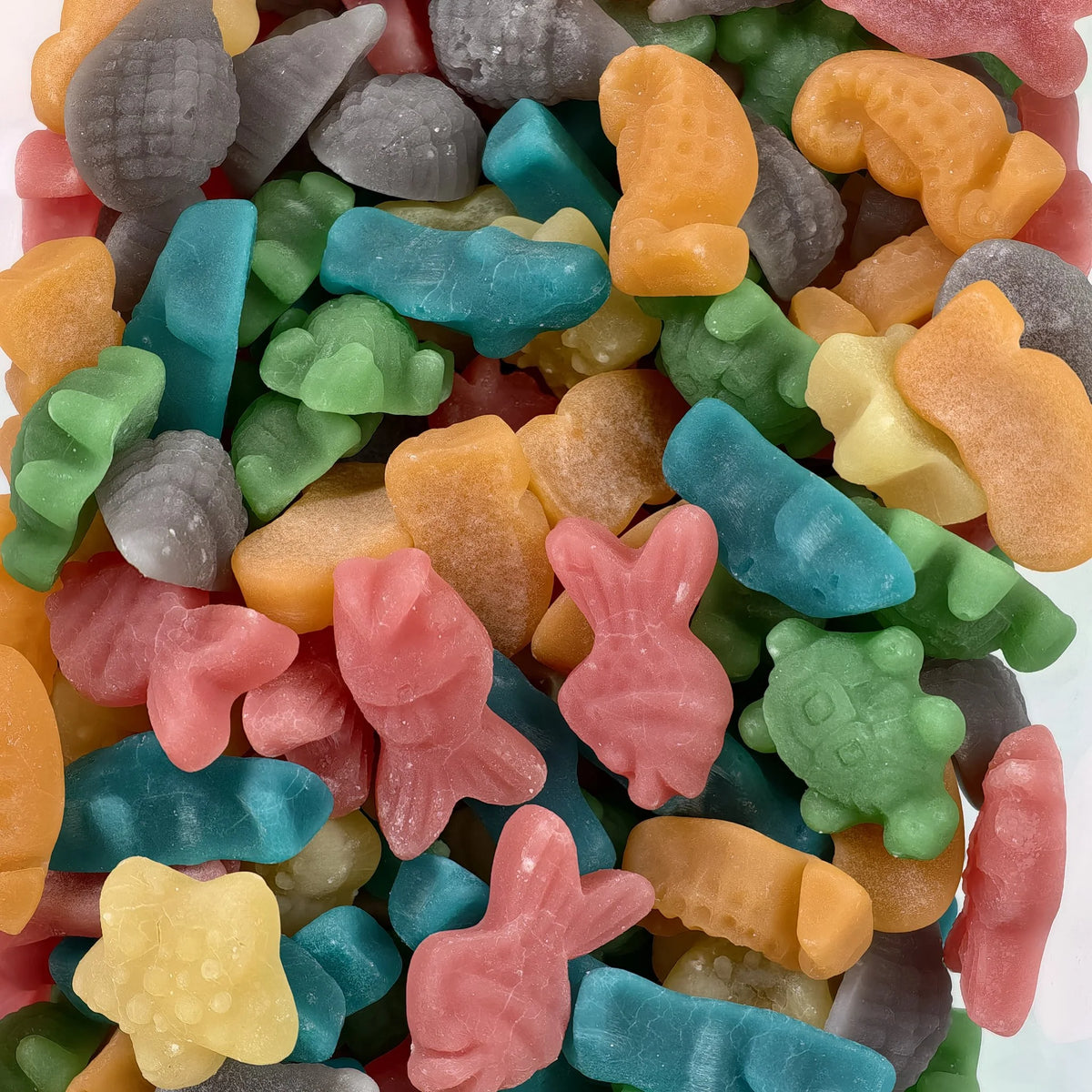 Vidal Ocean Mix ( Spain )